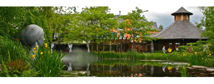 Creating a Harmonious Landscape with a Large Pond & Pond Equipment Creating a Harmonious Landscape with a Large Pond & Pond Equipment