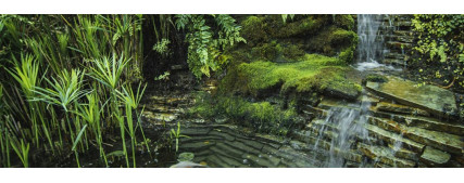 Enhancing Your Backyard with a Stunning Naturalistic Pond Enhancing Your Backyard with a Stunning Naturalistic Pond